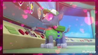 Paw Patrol Rocky Tribute Youth Of Yesterday