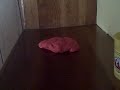 The story of the clay and the fist