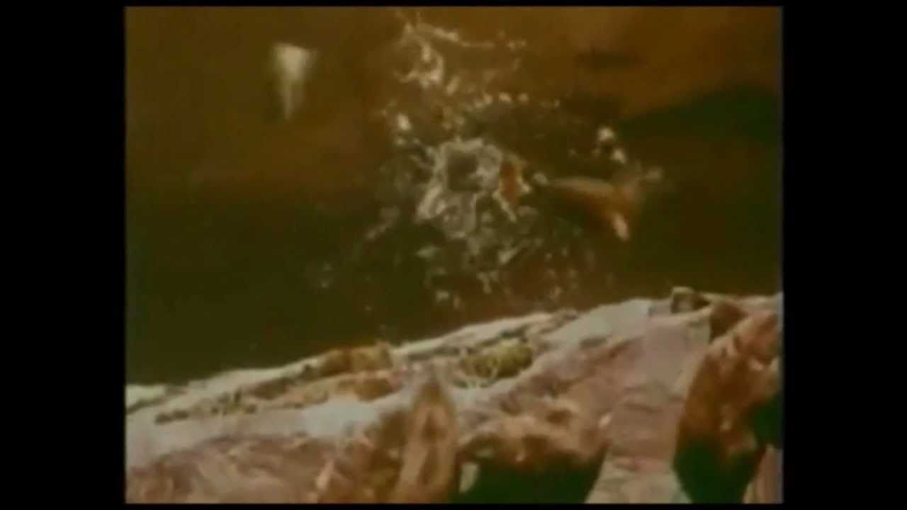 lemmings cliff