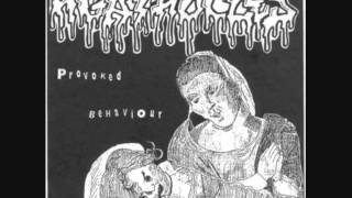 Watch Agathocles Provoked Behaviour video