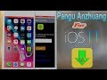 Pangu Anzhuang for iOS 11