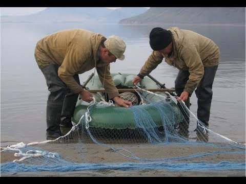 как ставить рыболовные как ставить рыболовные