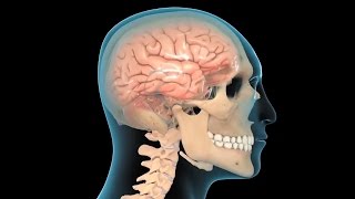 Concussions in Racing: A Case Study - Dario Franchitti & Dr. Stephen Olvey