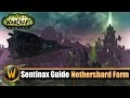 Sentinax Guide: Nethershard Farm spot! - (alle dropp items)