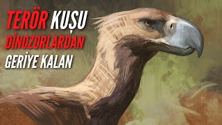 Terör Kuşları//Dinozorların mirasçıları