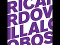Ricardo Villalobos - Koito (Original Mix)
