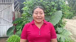 Aniversario Yawari - Allytv Napo