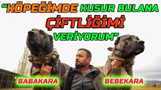 Dünyanin 1 Numarali Kangal Köpekleri̇ - İsmail Özbekin İddialı Sözleri Olay Oldu