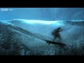 HD: Super Slo-mo Surfer! - South Pacific - BBC Two