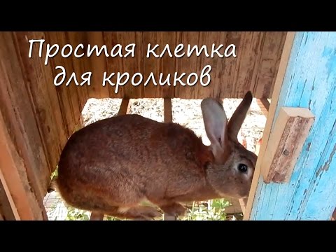 Клетки для кроликов солнечный кролик Клетки для кроликов солнечный кролик