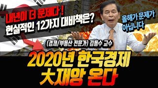 내년이 더 문제다! 2020년 한국경제 초토화 大재앙 온다ㅣ대비하자! 현실적인 12가지 대비책 ≪경제전망/경제위기≫