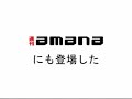 浅草・今戸神社の市野智絵さんにインタビュー！～nekodemo.com×週刊amana