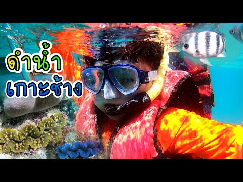 ดำน้ำ #เกาะช้าง #สถานที่ท่องเที่ยว #จ.ตราด #อ๊อกซ่าส์ดำน้ำดูปะการังครั้งแรก รีวิวเกาะช้าง | Oxza 99