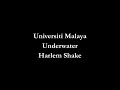 Underwater Video preview