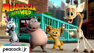 Madagascar A Little Wild Season 2 Trailer
