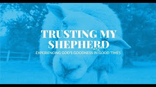 WK 5 | Shepherding the Margins | Pastor Mike Gardiner