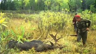 All American Girl Mary Kay Letourneau Story 2000 All American Girl Mary Kay Letourneau Story 2000