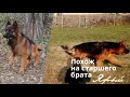 9 мес.