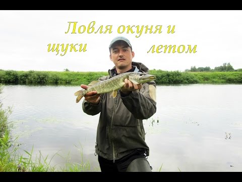щука на амуре летом щука на амуре летом