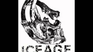 Watch Iceage Rotting Heights video