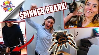 MEGA SPINNEN PRANK RACHE😣 -schreckliche Katzen Phobie - Family Fun