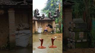 Giant Cobras Attack A Village House Unbelievable Snake Vfx Scene