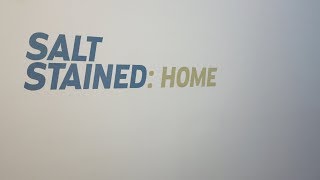 Chopsticks Alley Salt Stained: Home Exhibit at San Jose City Hall