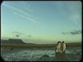 Tale of the Gale & Sligo