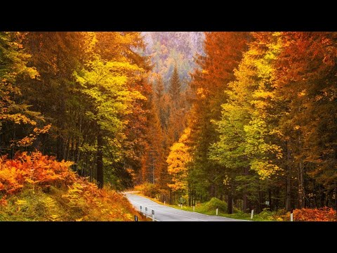 Beautiful Relaxing Music, Peaceful Soothing Instrumental Music, quotGolden Autumn Octoberquot By Tim Janis