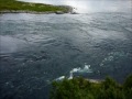 maelstrom saltstraumen norvege norway