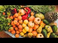 What makes organic food "organic"?