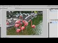 pixelmator 2 tutorial