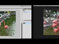 pixelmator 2 tutorial
