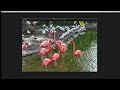 pixelmator 2 tutorial