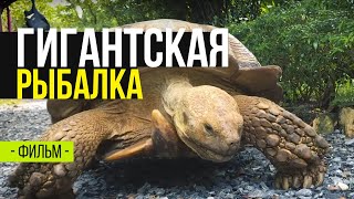 ЛОВЛЯ ГИГАНТСКИХ РЫБ! ТРОФЕЙНАЯ РЫБАЛКА ЗА РУБЕЖОМ. Gillhams fishing resort ЛОВЛЯ ГИГАНТСКИХ РЫБ! ТРОФЕЙНАЯ РЫБАЛКА ЗА РУБЕЖОМ. Gillhams fishing resort