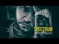 Spectrum Video preview