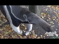 Zoo Denmark