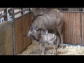 Zoo Denmark