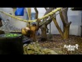 Zoo Denmark