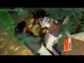 image Punjabi Couple Behind Tree Secret Mms Scandal