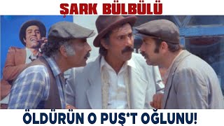 Şark Bülbülü Türk Filmi | Zülfo Ağa, Şaban'ı Öldü*rtmek İstiyor | Kemal Sunal Fi