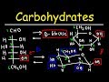 Carbohydrates - Haworth & Fischer Projections With Chair Conformations