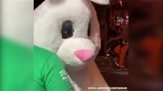 Person dressed as Easter bunny hops into fight in Downtown Orlando