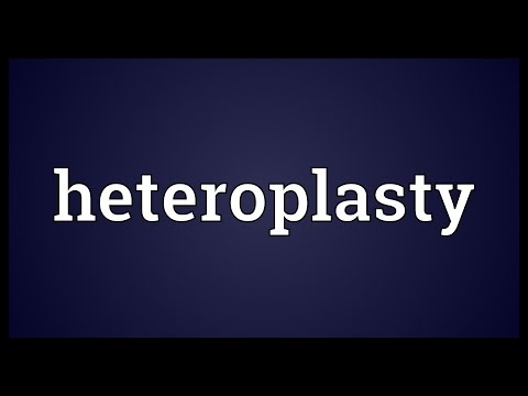 Header of heteroplasty