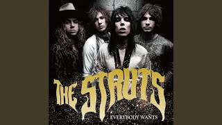 Could Have Been Me (Live From Summer Sonic)