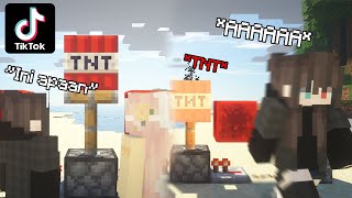 Aku Buat Otak Partnerku Meletus Dengan Minecraft Tik Tok Hacks Ilegal Ini...