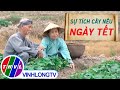 THVL | Thế giới cổ tích – Tập 49: Sự tích cây nêu ngày tết