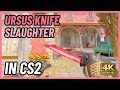 ★ CS2 Ursus Knife Slaughter | CS2 Knife In-Game Showcase [4K]