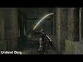 Dark Souls - Solaire's Quest Line, Saving Solaire In Lost Izalith, And Summoning Him At Lord Gwyn