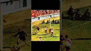 7GMGEmTxUts Video Image